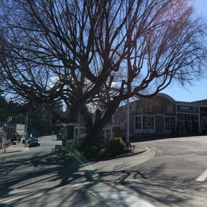 Sunny but cold day in early March