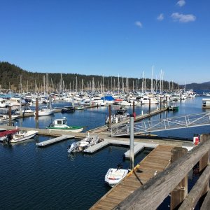 A quiet Friday Harbor in early March
