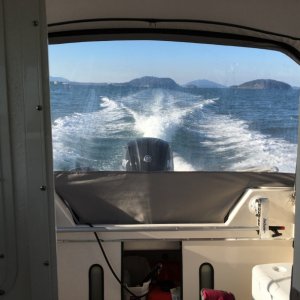 Cruising back after a fuel stop at Cap Sante, $3.39 / gal