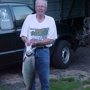 Another nice salmon