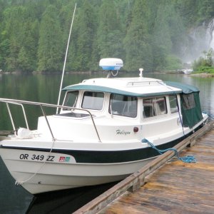 Halcyon at chatterbox Falls
