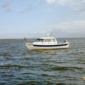 IMG006