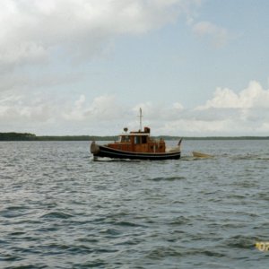 IMG013