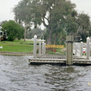 Welaka Landing Florida
On a side note. I tell you Elvis LIVES here ! We saw him fishing off that dock !