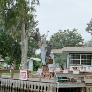 Closer still..of the carved tree in Astor Florida..really neat tree !