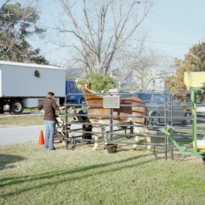 This is Polly getting ready for the Parade at Oriental NC 07