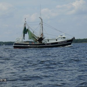 Anna Marie 
Shrimp Boat