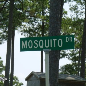 Mosquito Dr.