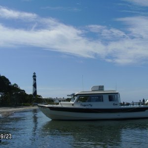 Dragonfly enjoying the Cape Lookout lighthouse.