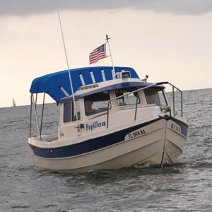 Media 'Papillon on the Gulf' in album 'Capt. Mike.....at the helm.'