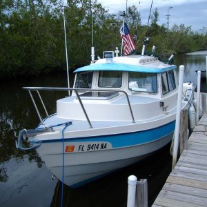 Papillon at Home Dock