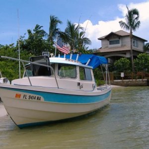 C-Dory's Love skinny water