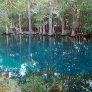 Manatee Springs