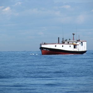 strange looking work boats