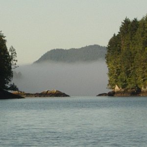 Troup Narrows
