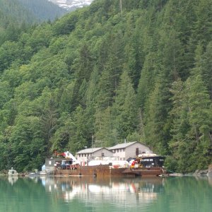 Logging operation at S Bentinck Narrows