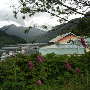 Foxgloves and mural, Ocean Falls