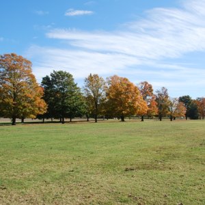 DSC 0007