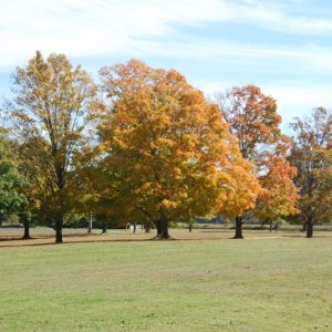 DSC 0008