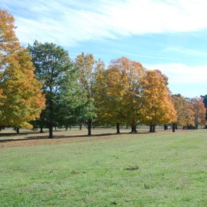 DSC 0011