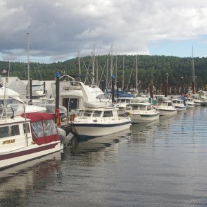 IMGP1752