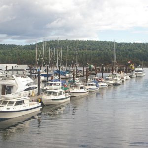 IMGP1753