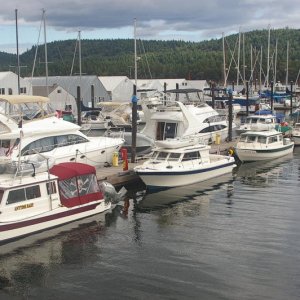 IMGP1754