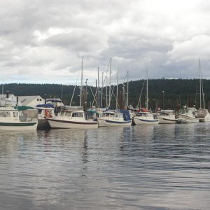IMGP1772
