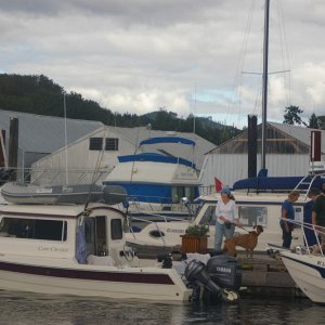 IMGP1778
