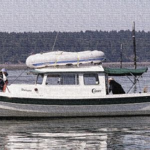 Halcyon on the Nisqually Delta Painting