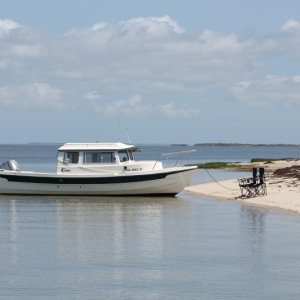 Media 'Otter on Tangier Island, Chesapeake Bay' in album 'Otter on Tangier Island, Chesapeake Bay'