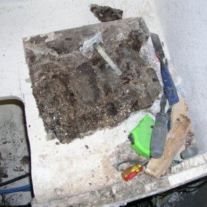 dry rot 2