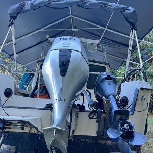8 horse Yamaha has automatic tilt.
