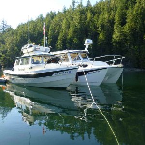 Media 'Seven Please and Retriever in Roscoe Bay' in album 'Seven Please in Tenados Bay'