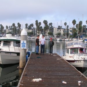 Large and small side by side 25, 16 (C-Pup).