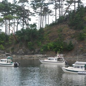 C Dancer, Knotty C and Halcyon, Fossil Bay, Sucia Island