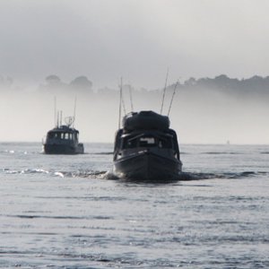 Leaving in a light fog