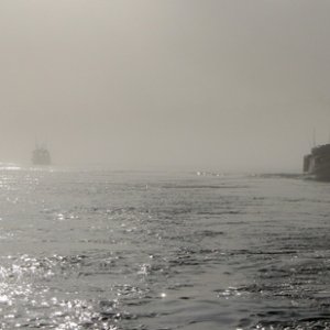 Backlit fog