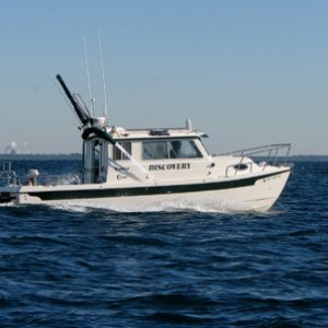 Discovery in the Gulf