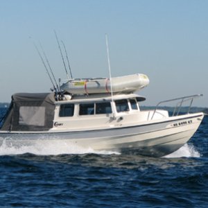 Kurbit in the Gulf