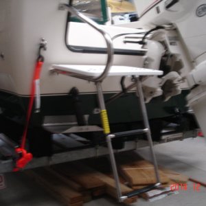 Media 'New Swim platform with ladder' in album 'cooler & gen tables'