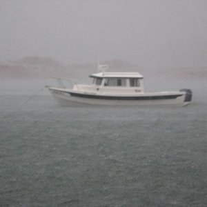 One wet C Dory