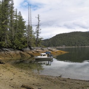 I used my bungee anchor system to go ashore on a little beach in the Burdwood Group north of Gilford Island.