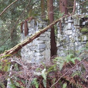 Media 'Still a lot of wall remaining out in the woods.' in album 'On the left is the MV Coho, headed for Victoria.  We left Port Angeles about 8 am for the 90 minute ride.'