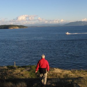 Media 'Johnston Point looking east, Matia Island in background' in album 'Fossil Bay looking east'