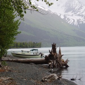 Media '(Waterball) Kenai Lake 05\' Near Trail River Campground' in album 'Close-Up of new pedestal 05''