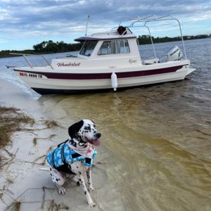 My girl Joplin. Navy Point, Pensacola FL