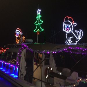Media 'At the dock after all guests (8 and 2 canines) have disembarked and headed home.' in album 'Pic from the local newspaper covering the Peace River Boat Parade hosted by the chamber of commerce.'