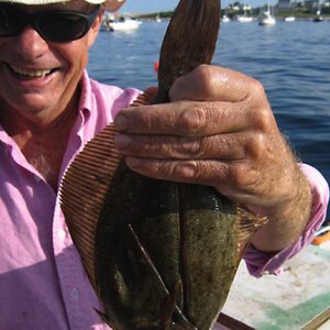 Flounder