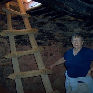 (Cygnet) Dixie (Discovery) in Kiva